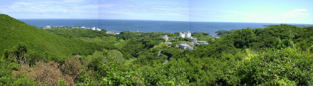 �����p�m���}�ʐ^�B�f�W�J���t���i�ł��Ȃ����j�̉摜�Ǘ��\�t�g�ł����\��������񂾂ȁB
