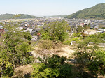 P5040142_thumb.jpg